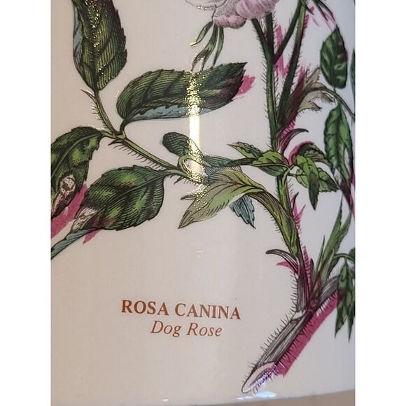 Portmeirion The Botanic Garden Circa 1818 England Dog Rose Floral Pitcher Jug - Picture 7 of 14